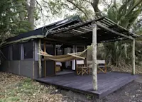 Slideshow Thumbnail 2 of 10