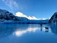 Mesmerized by the pure magic of Grewingk Glacier in Alaska. 