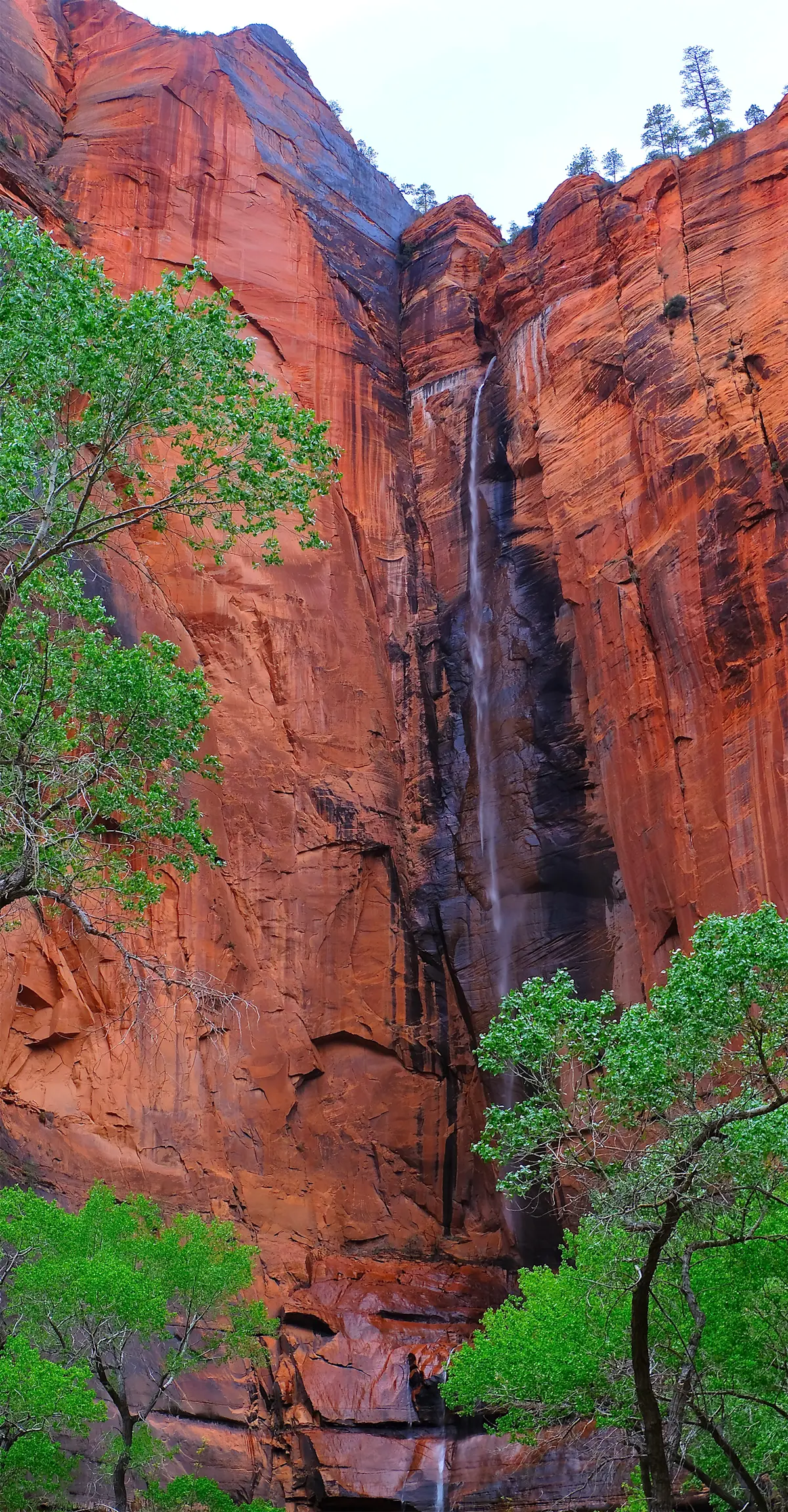 Zion National Park, Utah