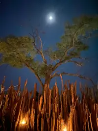 Soaking in a peaceful evening in the heart of Botswana.
