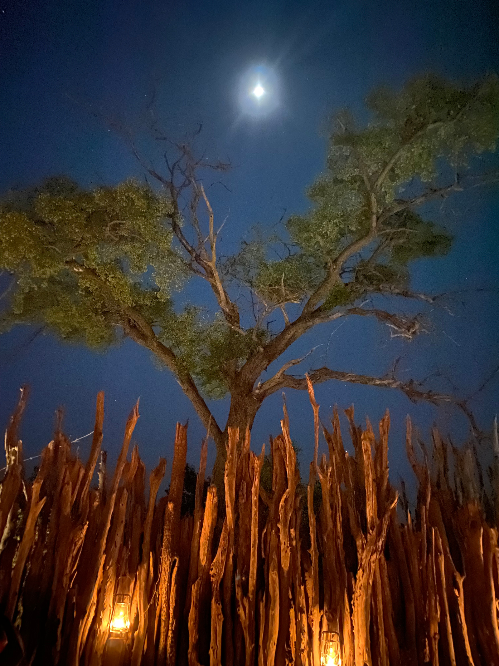 Soaking in a peaceful evening in the heart of Botswana.