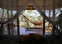 Slideshow Thumbnail 4 of 6