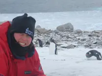 Captured some Penguins in Antarctica.