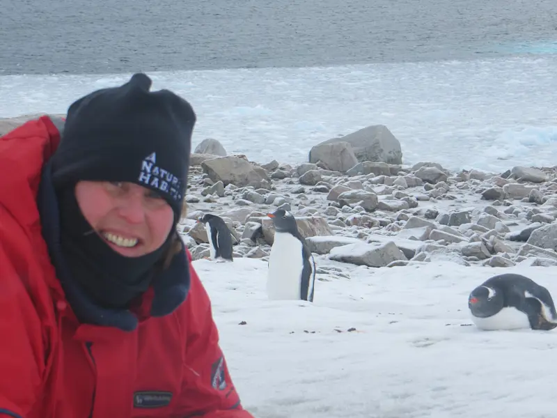 Captured some Penguins in Antarctica.