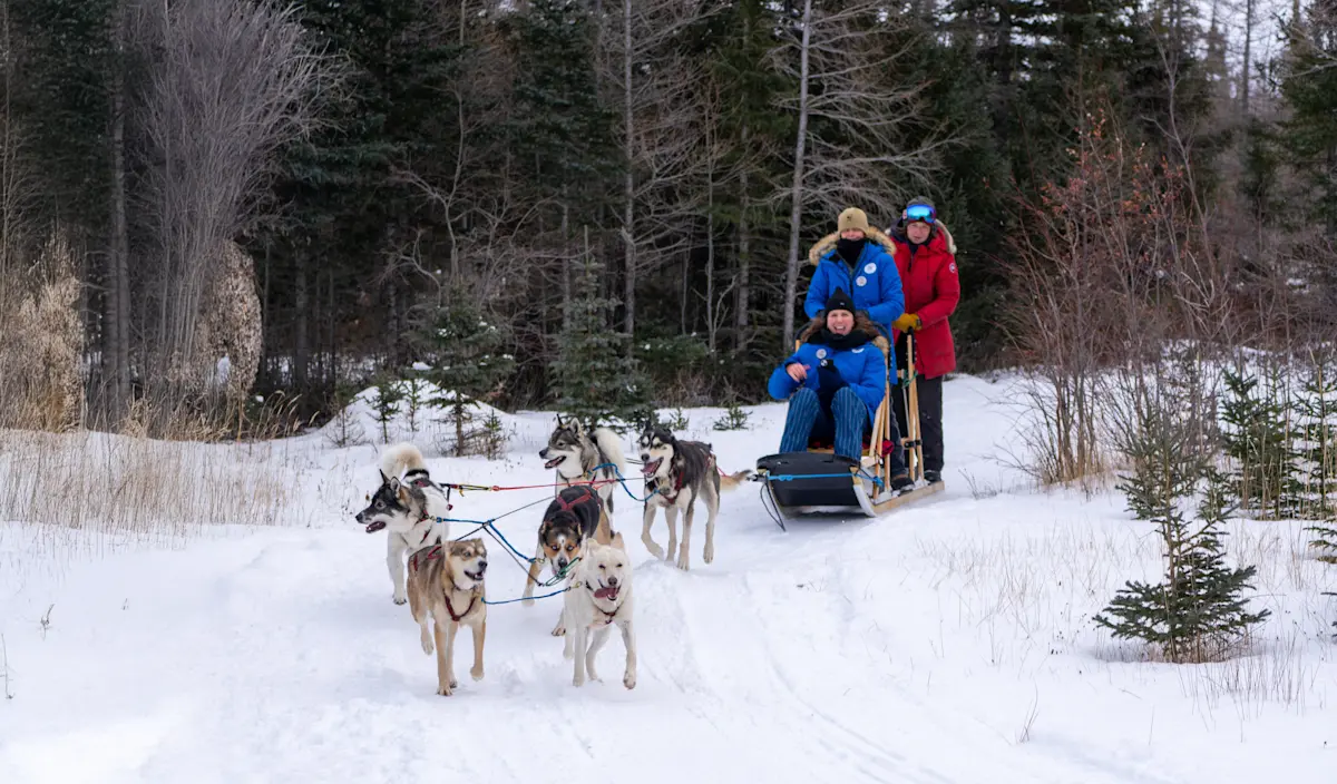 Nat Hab guests dogsledding, Churchill, Manitoba.