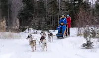 Nat Hab guests dogsledding, Churchill, Manitoba.
