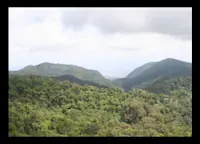 Slideshow Thumbnail 7 of 7