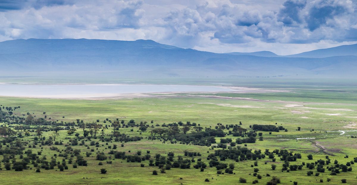 Ngorongoro Crater & Gibb's Farm Tours | African Safaris | Natural Habitat