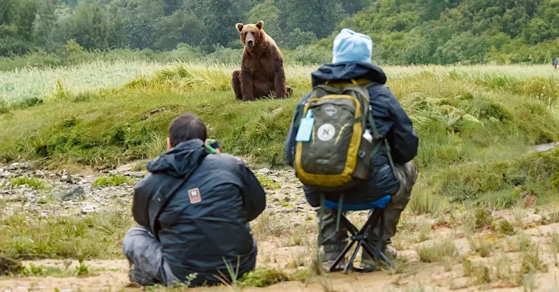 Nat Hab guests and brown bear, Katmai National Park & Preserve, Alaska.
