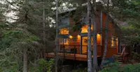 Treetop Suite