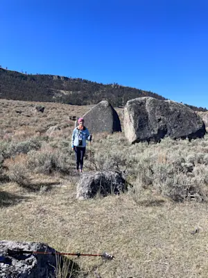 Immersed in the natural beauty of Yellowstone, Wyoming. 