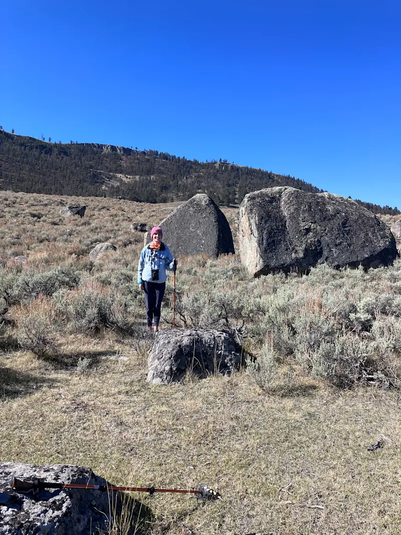 Immersed in the natural beauty of Yellowstone, Wyoming. 