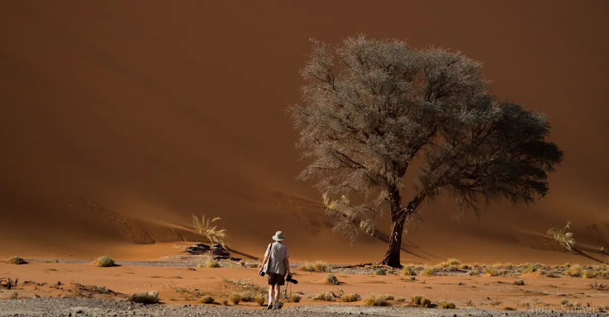 Nat Hab Guest, Sossusvlei, Namibia.