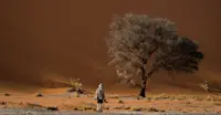 Nat Hab Guest, Sossusvlei, Namibia.