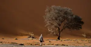 Nat Hab Guest, Sossusvlei, Namibia.