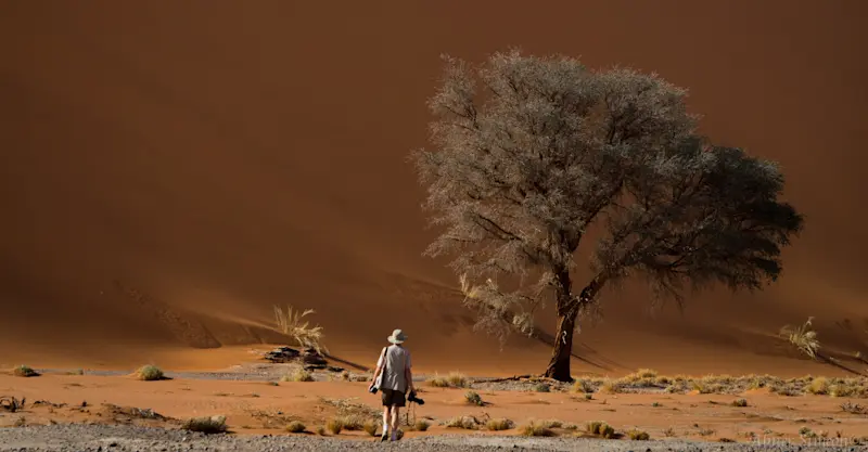 Nat Hab Guest, Sossusvlei, Namibia.