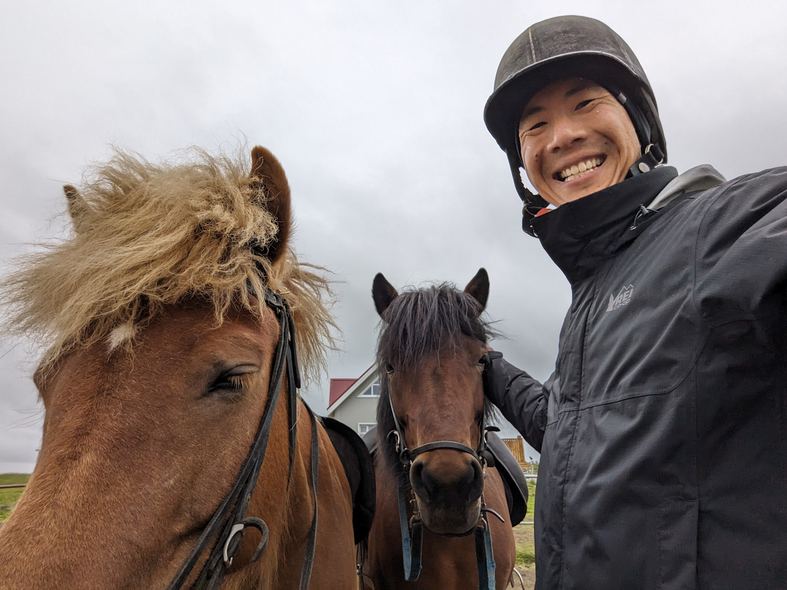 Photoshoot after a horseback riding tour in Myvatn, Iceland.