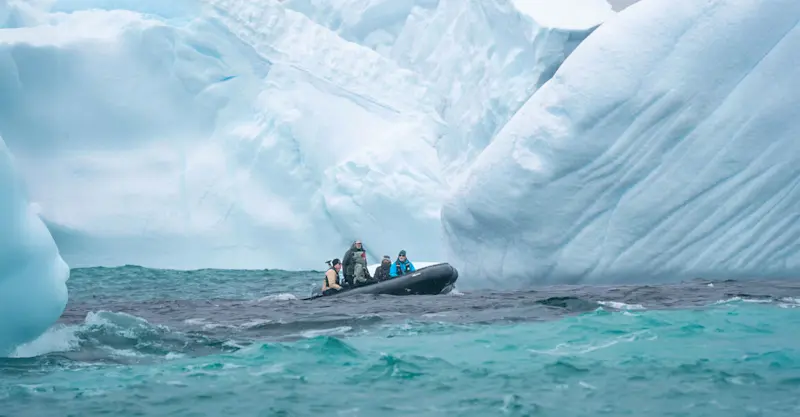Zodiac cruise, Antarctica.