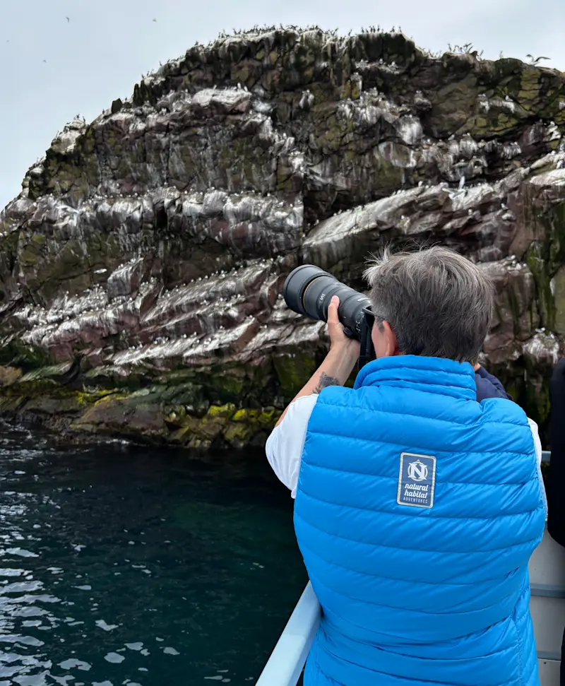 Nat Hab guest photographing seabirds, Newfoundland & Labrador, Canada.