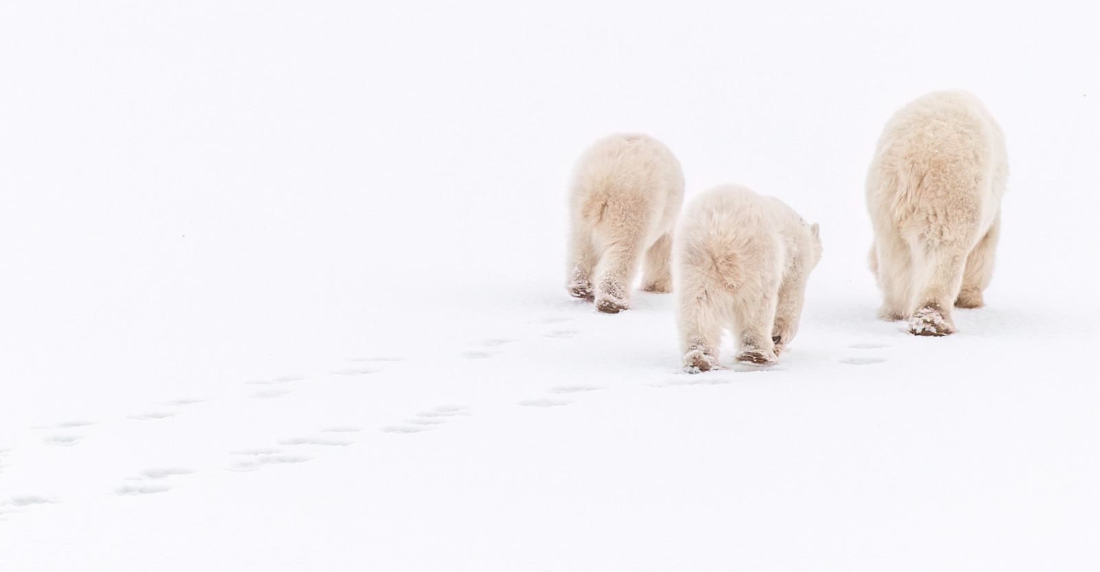 Churchill, Canada