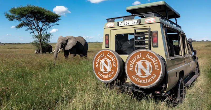 Elephants and Nat Hab safari vehicle, Maasai Mara National Reserve, Kenya.