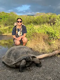 Large tortoise in Galapagos. 