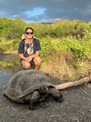 Large tortoise in Galapagos. 