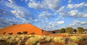 Sossusvlei, Namib-Naukluft National Park, Namibia.