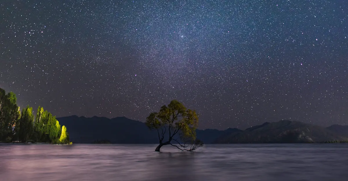 Wanaka Tree, New Zealand.