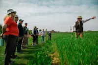 Nat Hab guests learn about about sustainable farming, Honeydale Farm, Cotswolds.