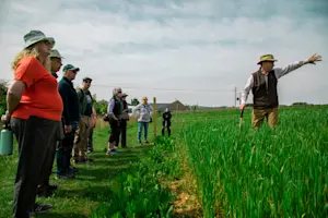 Nat Hab guests learn about about sustainable farming, Honeydale Farm, Cotswolds.