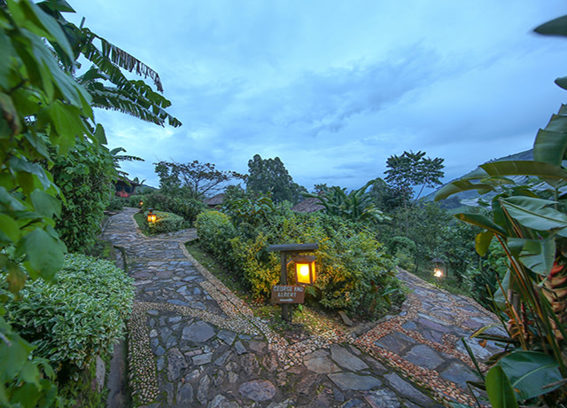 Mahogany Springs Lodge Bwindi Impenetrable National Park Uganda