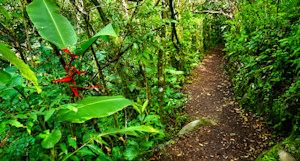 Slideshow Image Thumbnail 9 of 9