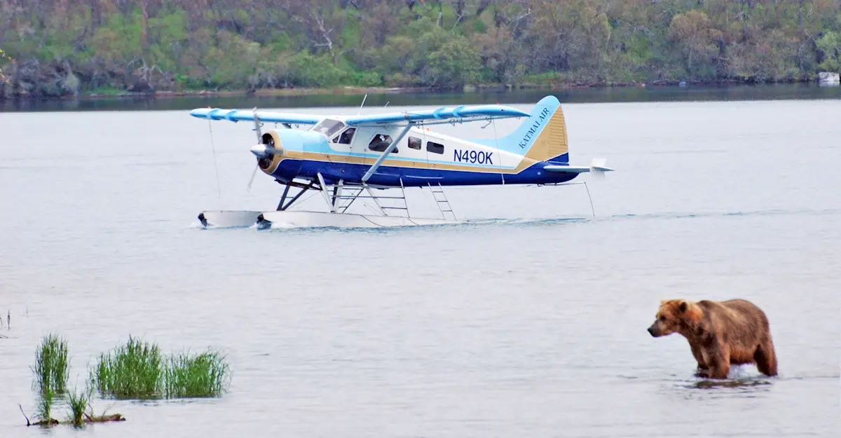 Floatplane and brown bear, Katmai National Park & Preserve, Alaska.