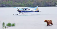 Floatplane and brown bear, Katmai National Park & Preserve, Alaska.