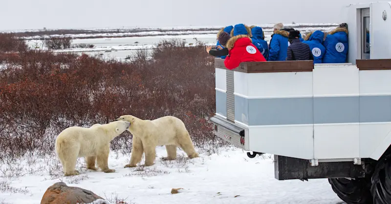 Nat Hab guests aboard the Polar Rover, Churchill, Manitoba.