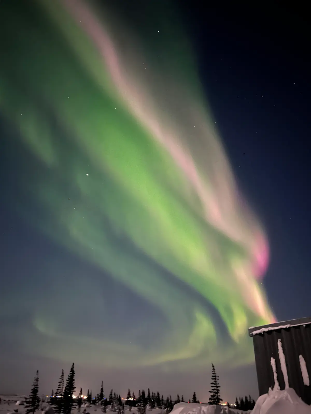 Marveling at the northern lights in Churchill, Canada.