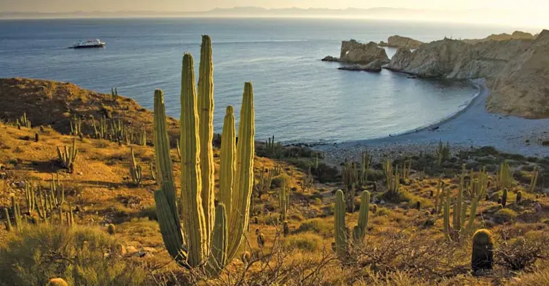 National Geographic Sea Bird, Elephant Rock Bay, Mexico.