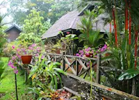 Slideshow Thumbnail 2 of 9