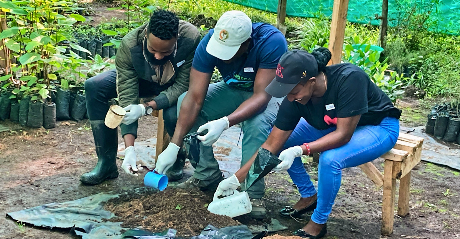 NAT-HAB-EW-Kenya-Nursery-Uzal Fieldwork(C) Dana Salomon (036)