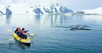 Travelers kayaking past a humpback whale, Yalour Islands, Antarctica.