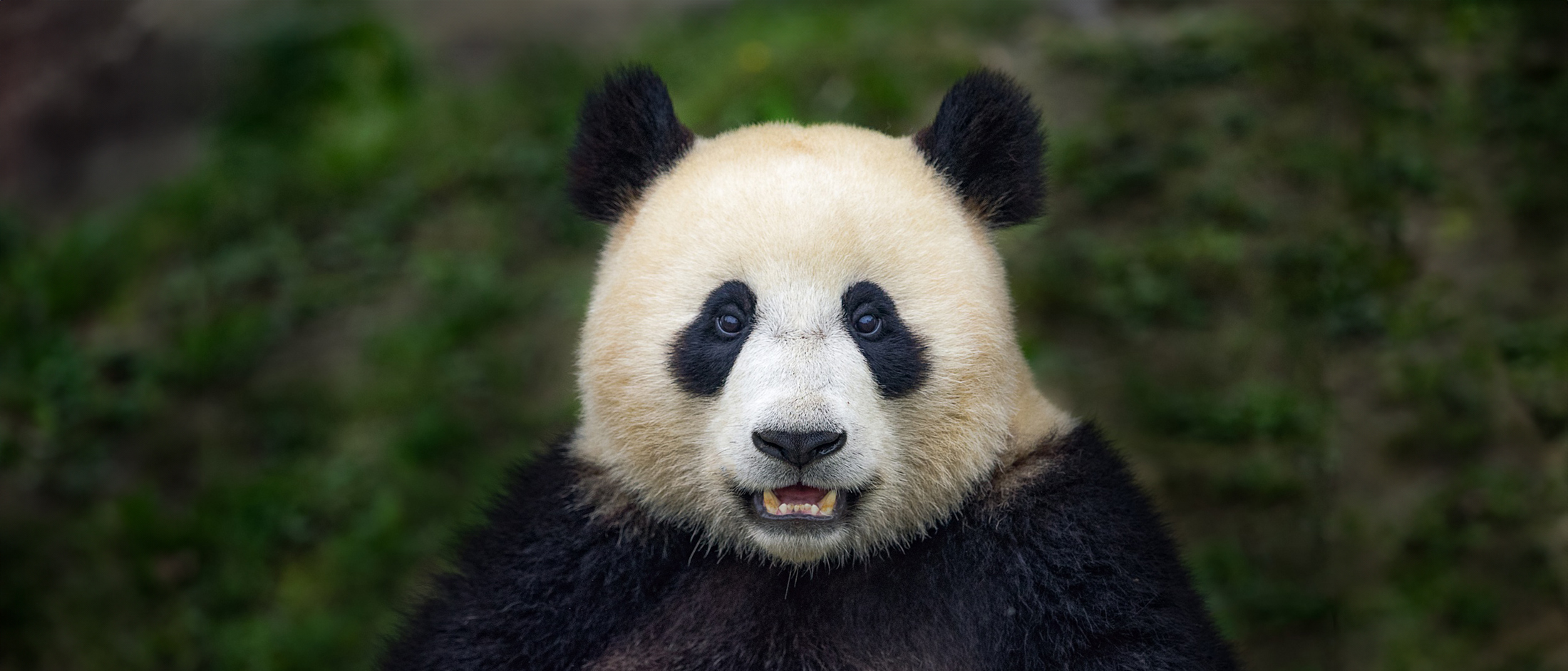 The Wild Side of China Photo Expedition | Itineraries