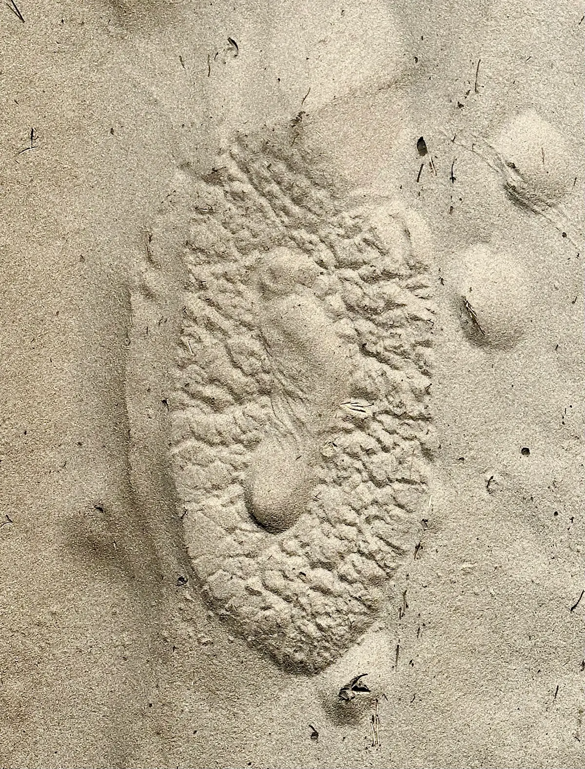 My footprint inside an elephant's footprint, Okavango Delta, Botswana.