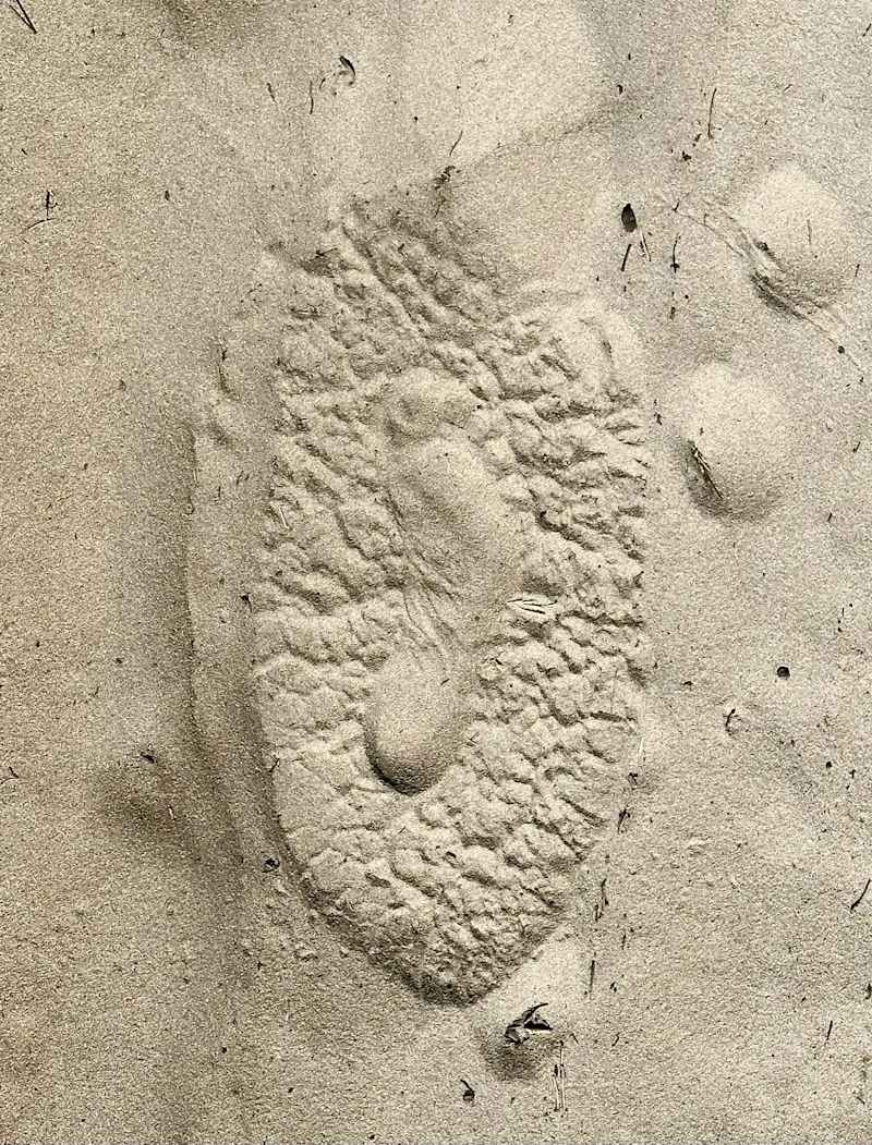 My footprint inside an elephant's footprint, Okavango Delta, Botswana.