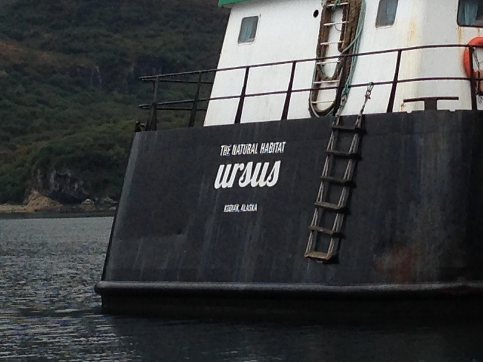 Alaska 2016 - Ursus