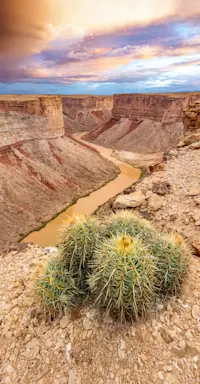 Soap Creek Overlook, Grand Canyon, Arizona