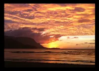 Slideshow Thumbnail 7 of 7