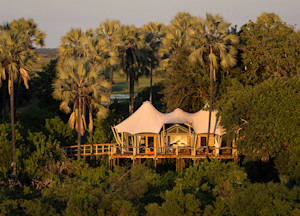 Kwetsani Camp Okavango Delta Botswana Africa