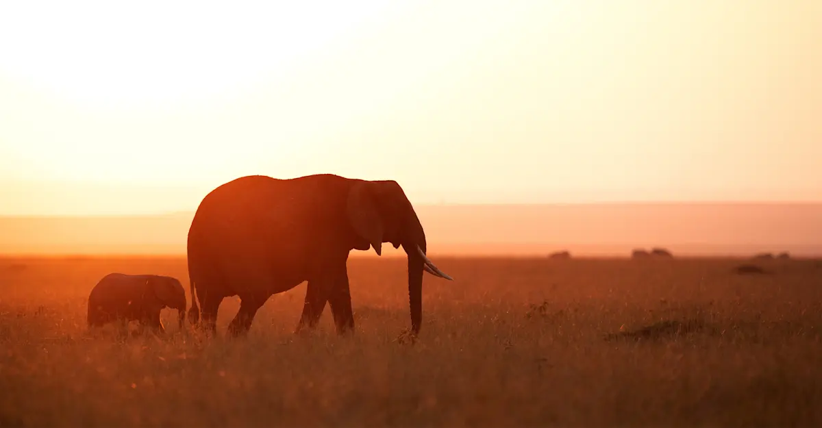 Elephant mother and calf, Kenya.