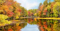 Fall foliage, Acadia National Park, Maine.